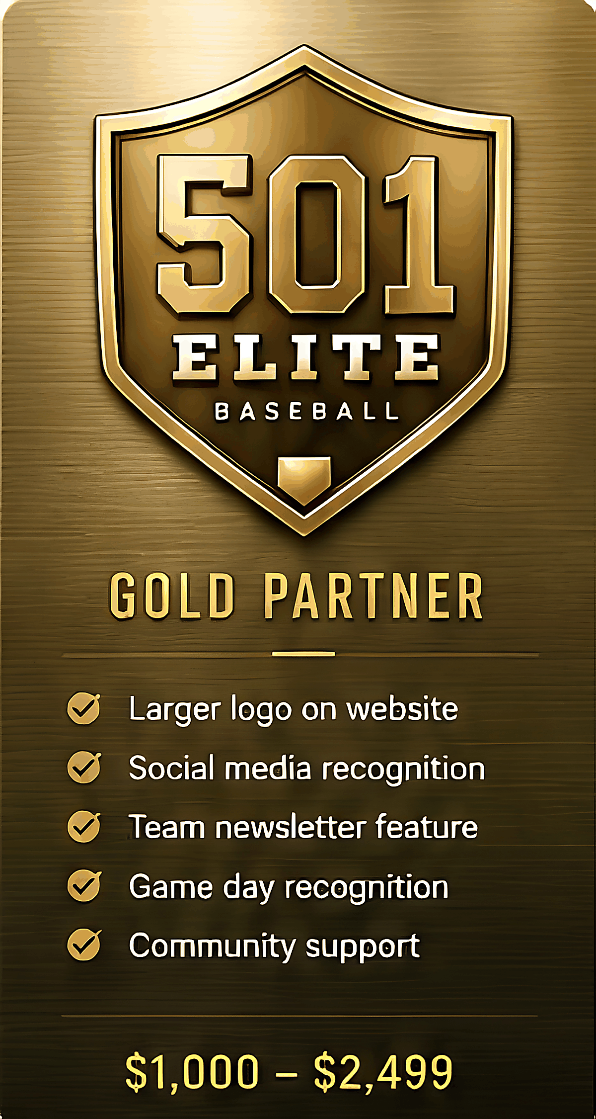 Gold Sponsor level for 501 Elite Baseball